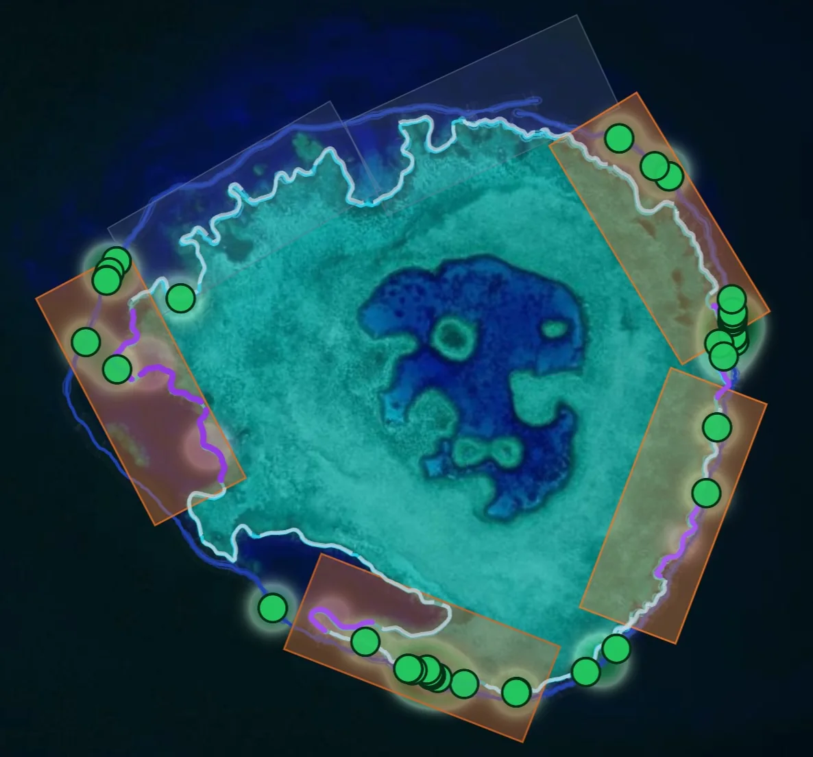 Cull, manta tow and image-derived evidence aligned on the same reef